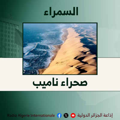 السمراء