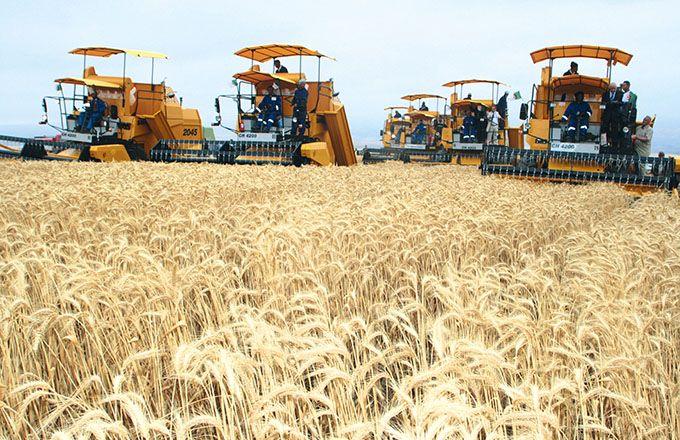 Agriculture en Algerie Agriculture en Algerie