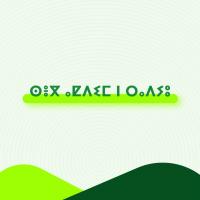 seg qdim