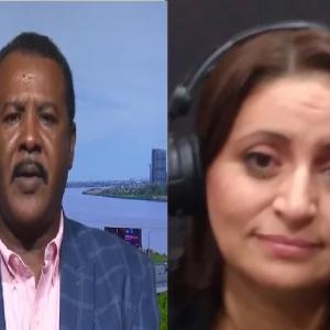 سهام السلطة