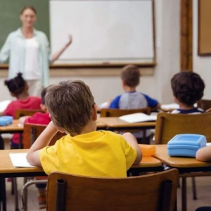 المرافقة البيداغوجية