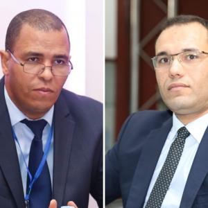 ضيف الدولية