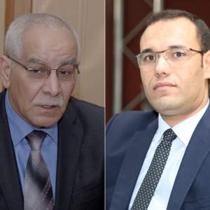 ضيف الدولية