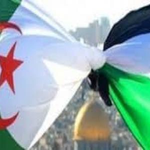 ضيف النسمات