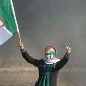 ضيف النسمات