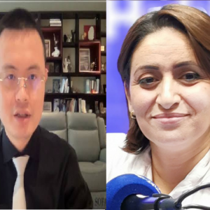 سهام السلطة