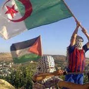 ضيف النسمات