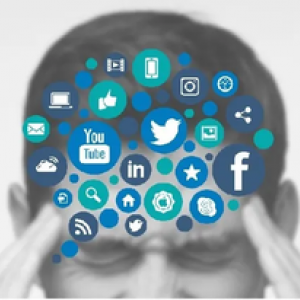 ضيف النسمات