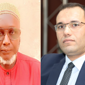 ضيف الدولية