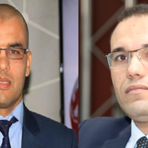 ضيف الدولية