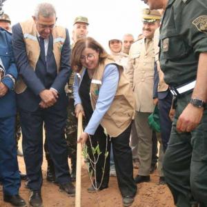 Tiṭ ɣef tawennaṭ