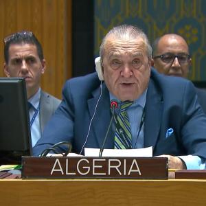 إجماع على بيان رئاسي بادرت به حول الأشخاص المفقودين.. الجزائر تواصل مشاركتها البناءة في مجلس الأمن