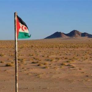 le pillage des ressources naturelles sahraouies
