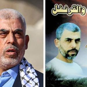 تقرير