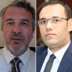 ضيف الدولية