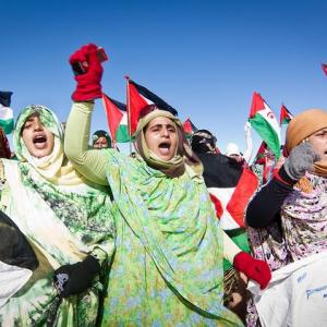 صوت الجالية