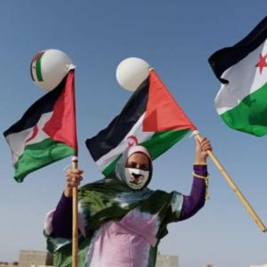 الثقافة في خدمة الاستقلال.. مهرجان لون الأرز يُحيي النضال الصحراوي بالفن