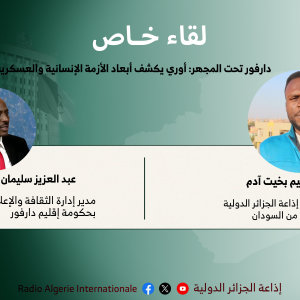 دارفور تحت المجهر