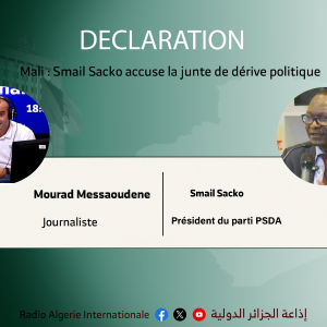 Mali : Smail Sacko accuse la junte de dérive politique