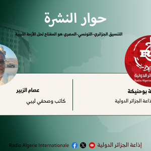 التنسيق الجزائري-التونسي-المصري هو المفتاح لحل الأزمة الليبية