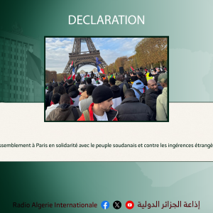 Rassemblement à Paris en solidarité avec le peuple soudanais et contre les ingérences étrangères
