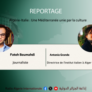 Directrice de l'institut italien à Alger