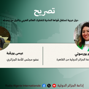 دول عربية تستغل قواها المادية لتفكيك العالم العربي والنيل من وحدته