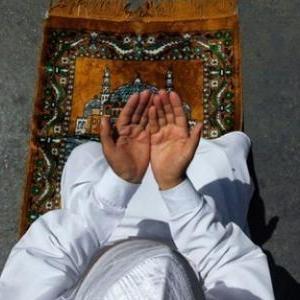 ضيف النسمات