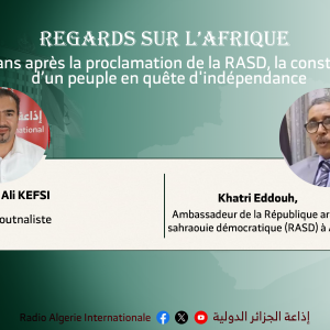 Regards sur L'afrique