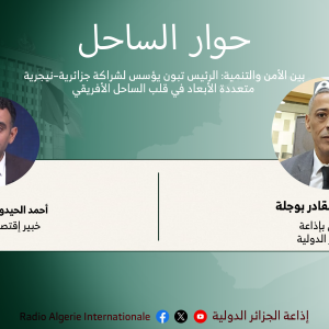 حوار الساحل: بين الأمن والتنمية: الرئيس تبون يؤسس لشراكة جزائرية–نيجرية متعددة الأبعاد في قلب الساحل الأفريقي