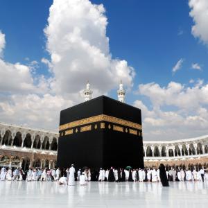 ربورتاج