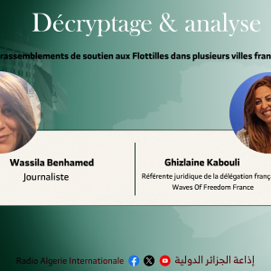 Référente juridique de la délégation française  Waves Of Freedom France