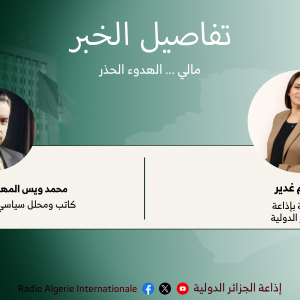 تفاصيل الخبر: مالي ... الهدوء الحذر