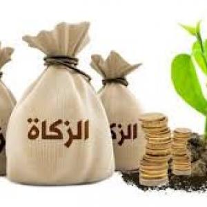 تقرير