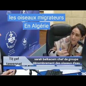 Preview image for the video "Tiṭ ɣef tawennaṭ du 2212.22. Les oiseaux migrateurs en Algérie   l’émission dans la description".