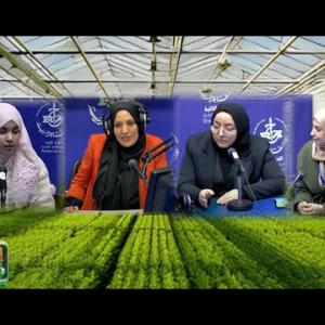 Preview image for the video "ⵍⴻⵖⵔⵓⵣ ⴷⵣ  13.01.2025. Par Roba.avec des projets agricoles: Najat Dibe. Cherif Lyna et Manal Nachar.".