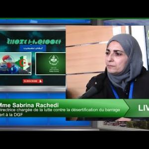 Preview image for the video "Mme Sabrina Rachedi directrice chargée de la lutte contre la désertification du barrage vert ( DGF)".