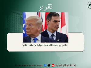 تقرير