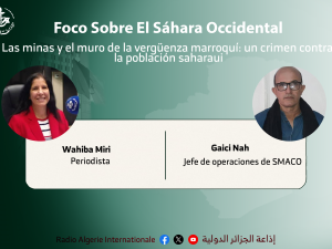 wahiba