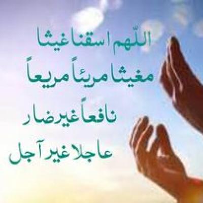 ربورتاج