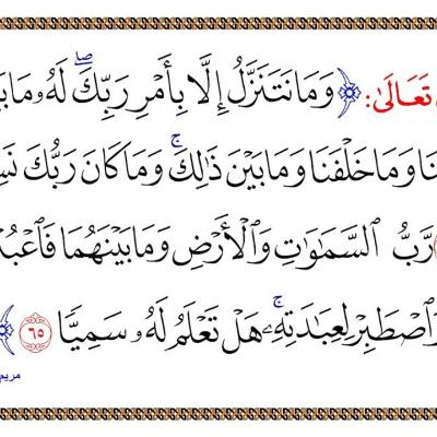 آية استوقفتني