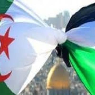 ضيف النسمات