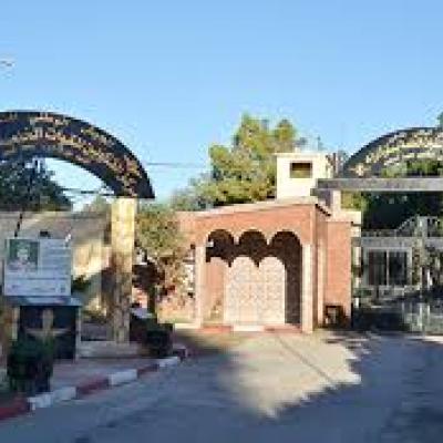 ربورتاج