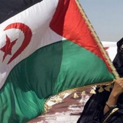 تقرير