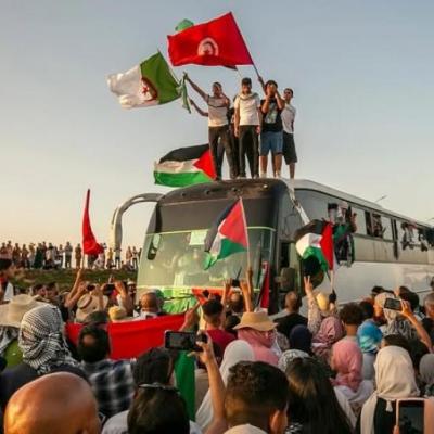 قوافل نحو غزة