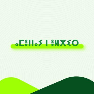 AMENAY ELXIR 
