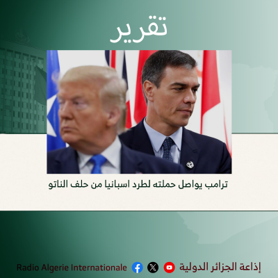 تقرير