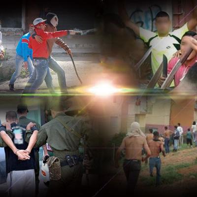 ضيف النسمات