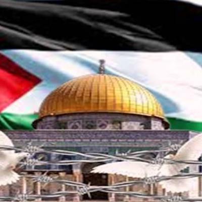 فلسطين الصمود