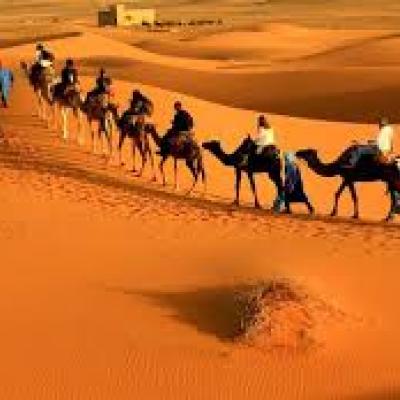 الصحراء الجزائرية